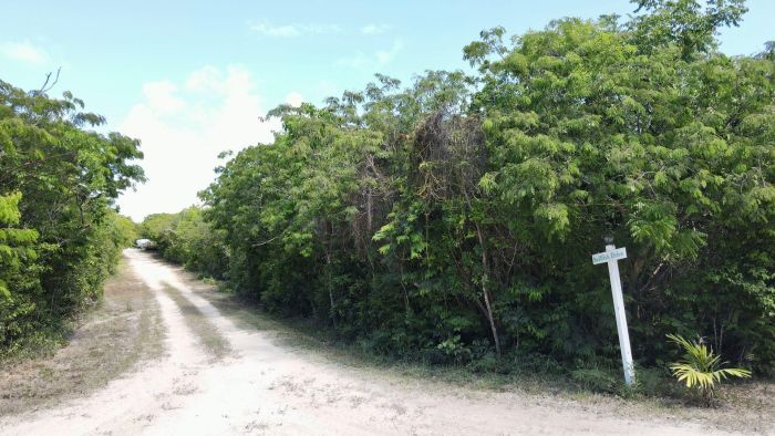 MLS# 63180 A Great Catch 27 Lubbers Quarters Abaco