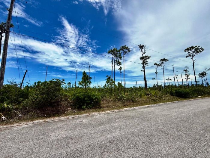 MLS# 63249  Shannon Subdivision Grand Bahama/Freeport