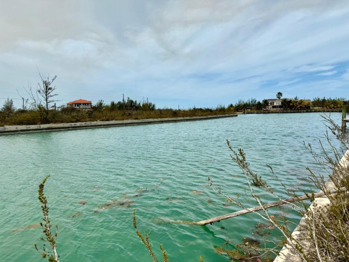 MLS# 63263  Emerald Bay Grand Bahama/Freeport