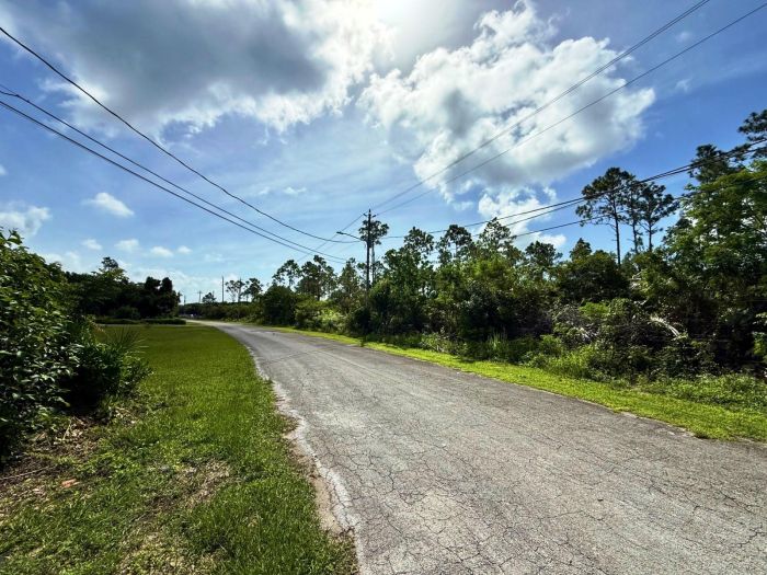 MLS# 63293  Bahamia Grand Bahama/Freeport