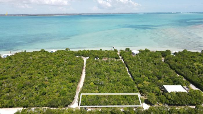 MLS# 63326 A Great Catch 26 Lubbers Quarters Abaco