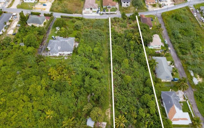 MLS# 63387   New Providence/Paradise Island