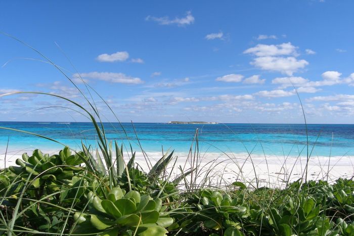 MLS# 63404 Plage Rose Lot Double Bay Eleuthera