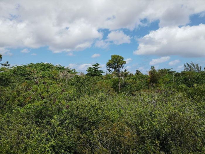 MLS# 63407  Columbus Landings San Salvador