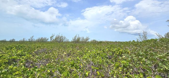 MLS# 63446 Whale Point Estates Whale Point Eleuthera