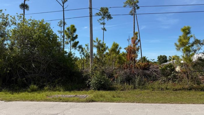 MLS# 63496  Bahamia Grand Bahama/Freeport