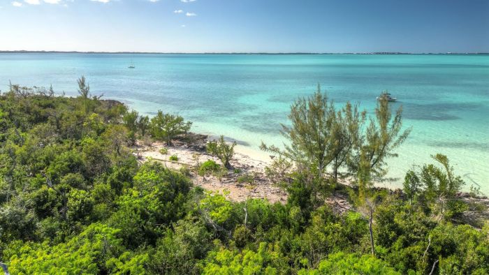 MLS# 63626  Lubbers Quarters Abaco