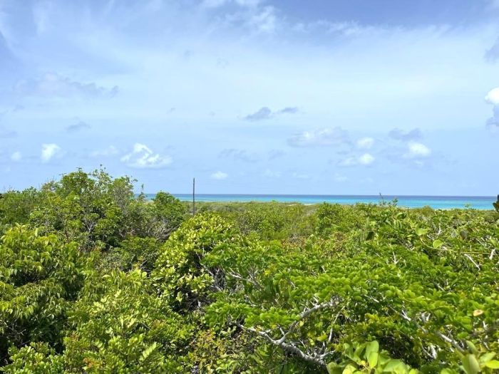 MLS# 63685 San Salvador Lot Columbus Landings San Salvador