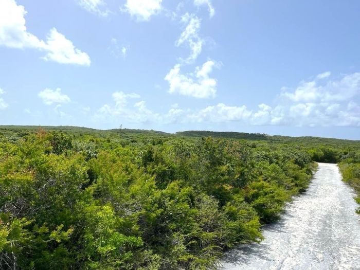 MLS# 63687 San Salvador Lot Columbus Landings San Salvador