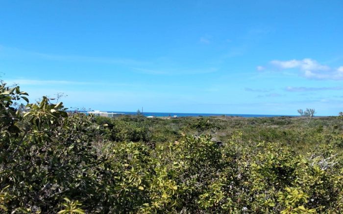 MLS# 63698  Columbus Landings San Salvador