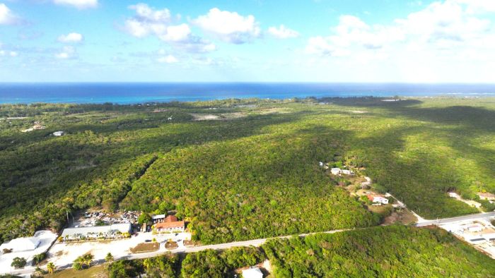 MLS# 63776 VACANT LAND 12 ACRES Palmetto Point Eleuthera