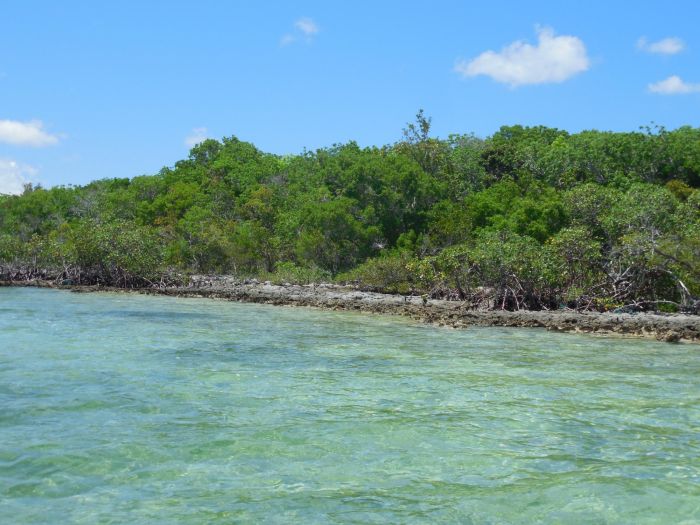 MLS# 63794  Casuarina Point Abaco