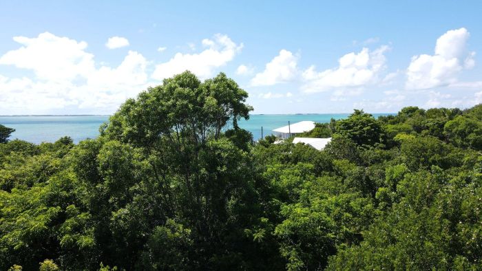 MLS# 63868  Elbow Cay/Hope Town Abaco