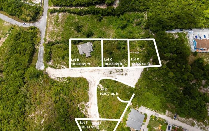 MLS# 63980  South Ocean New Providence/Paradise Island