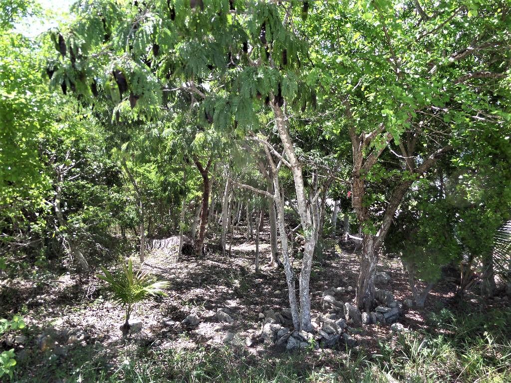 MLS# 64133  Hamilton's Long Island