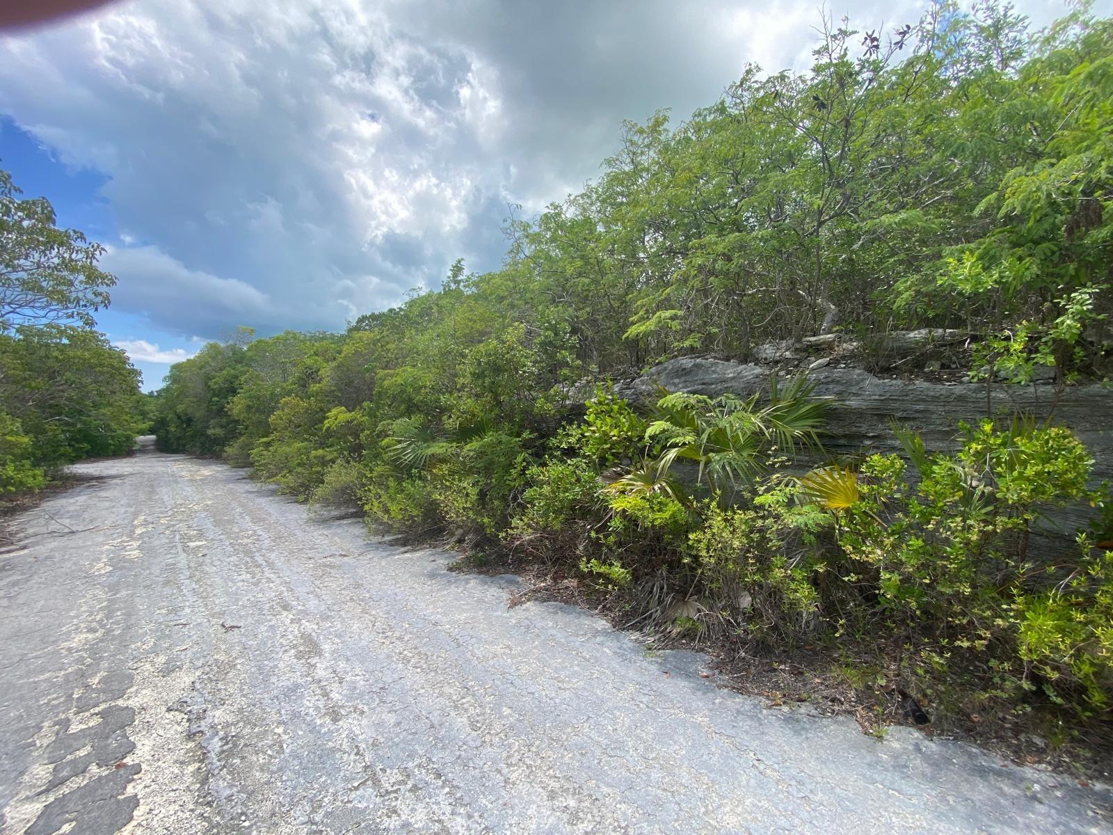 MLS# 64153  Stella Maris Long Island