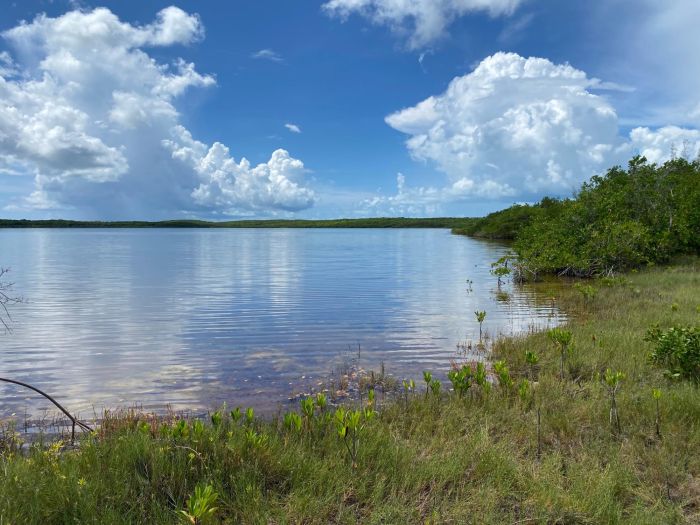 MLS# 64200  Palmetto Point Eleuthera