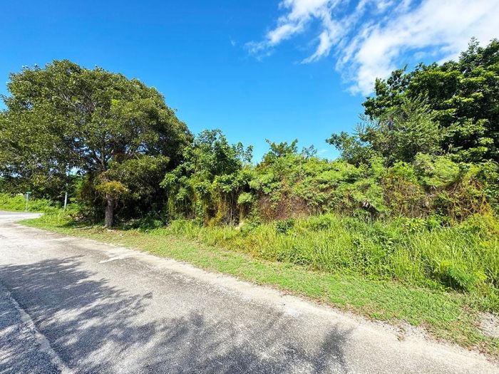 MLS# 64208  Bacardi Road New Providence/Paradise Island