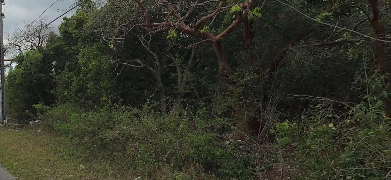 MLS# 64377  Congo Town Andros