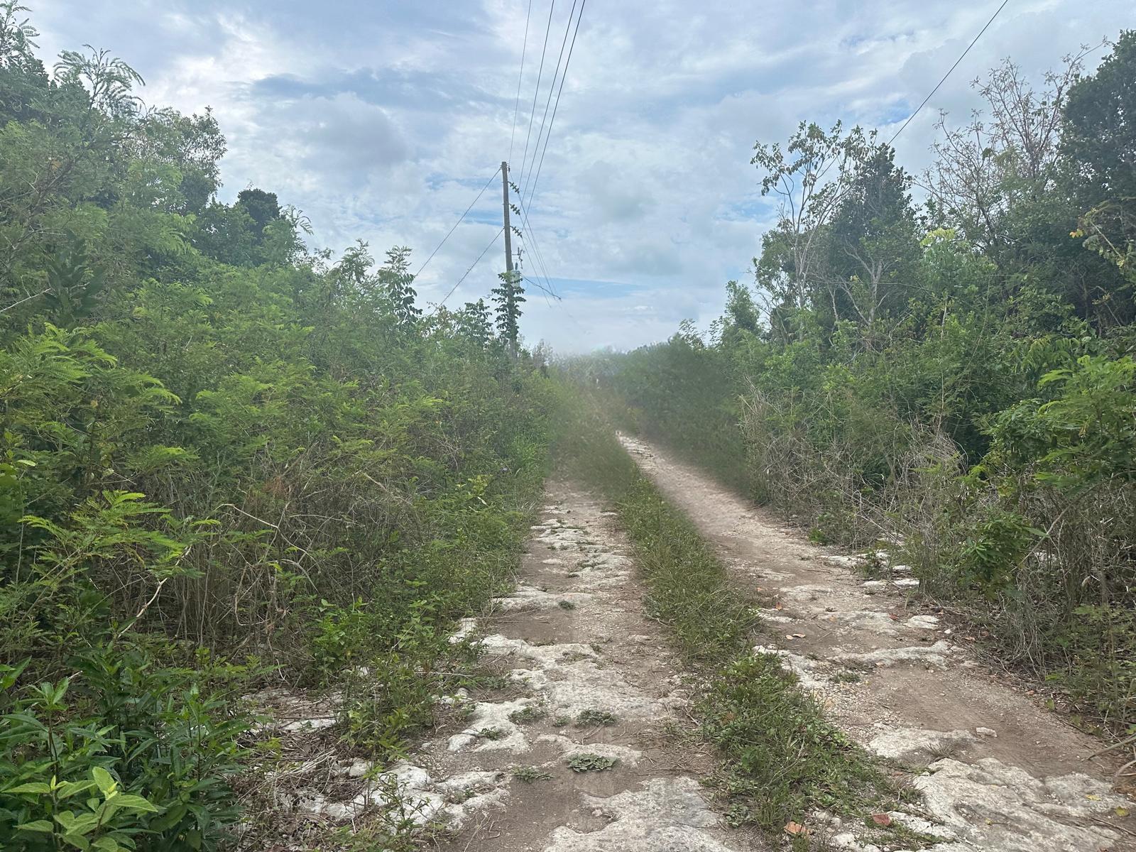 MLS# 64381  Tarpum Bay Eleuthera