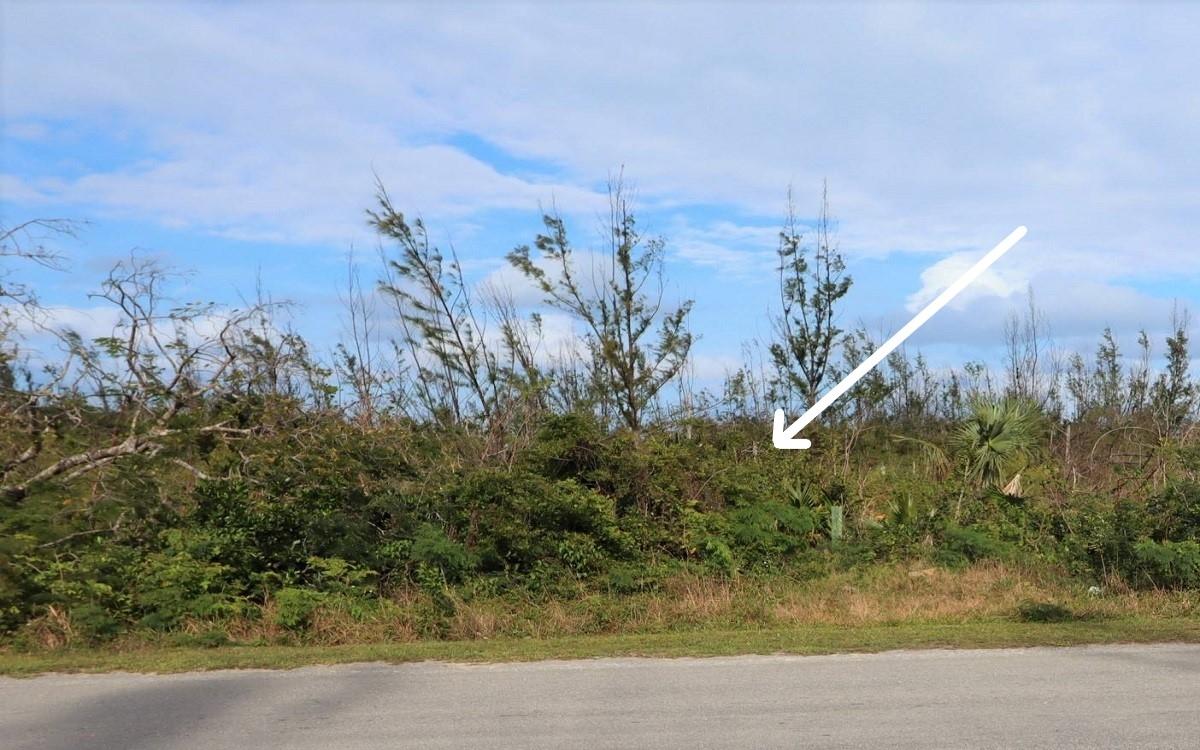 MLS# 64459  Coopers Town Abaco