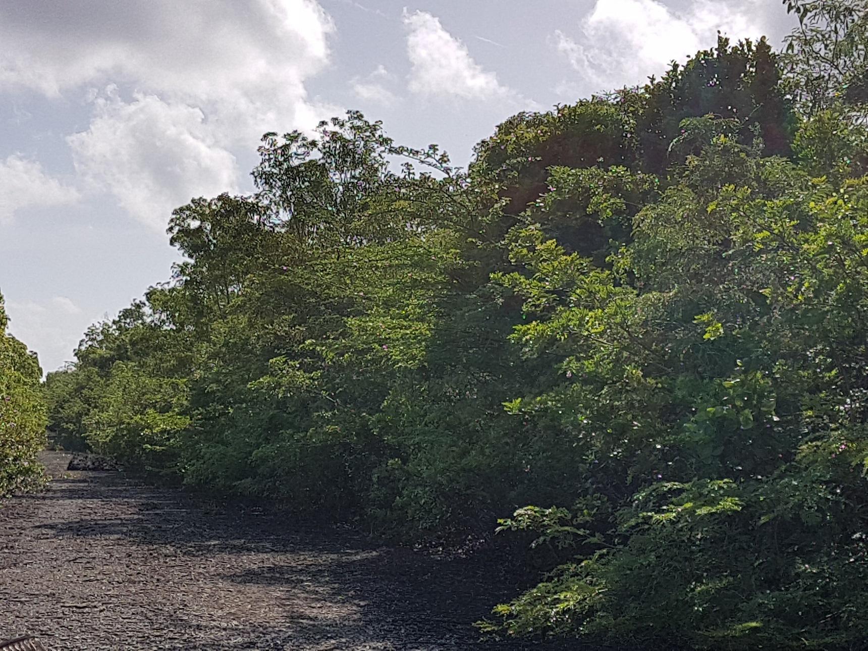 MLS# 64793 Bahama Sound Exuma & Exuma Cays