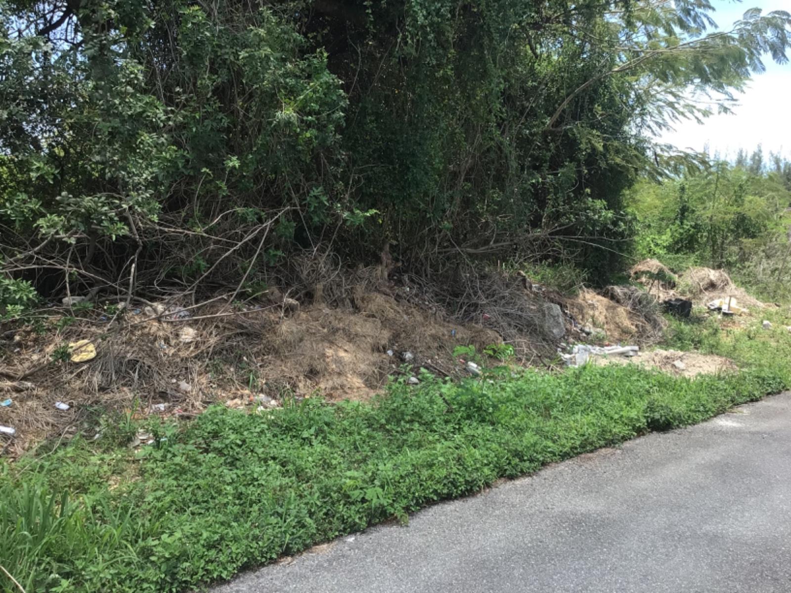 MLS# 64897 Bernard Road New Providence/Paradise Island