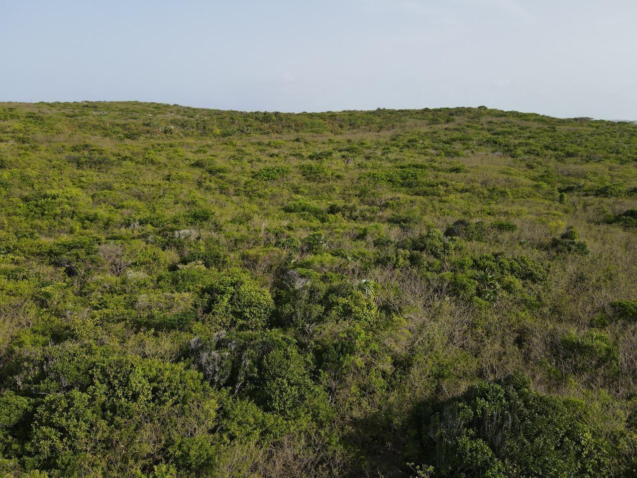 MLS# 65076 Doctor's Creek Long Island