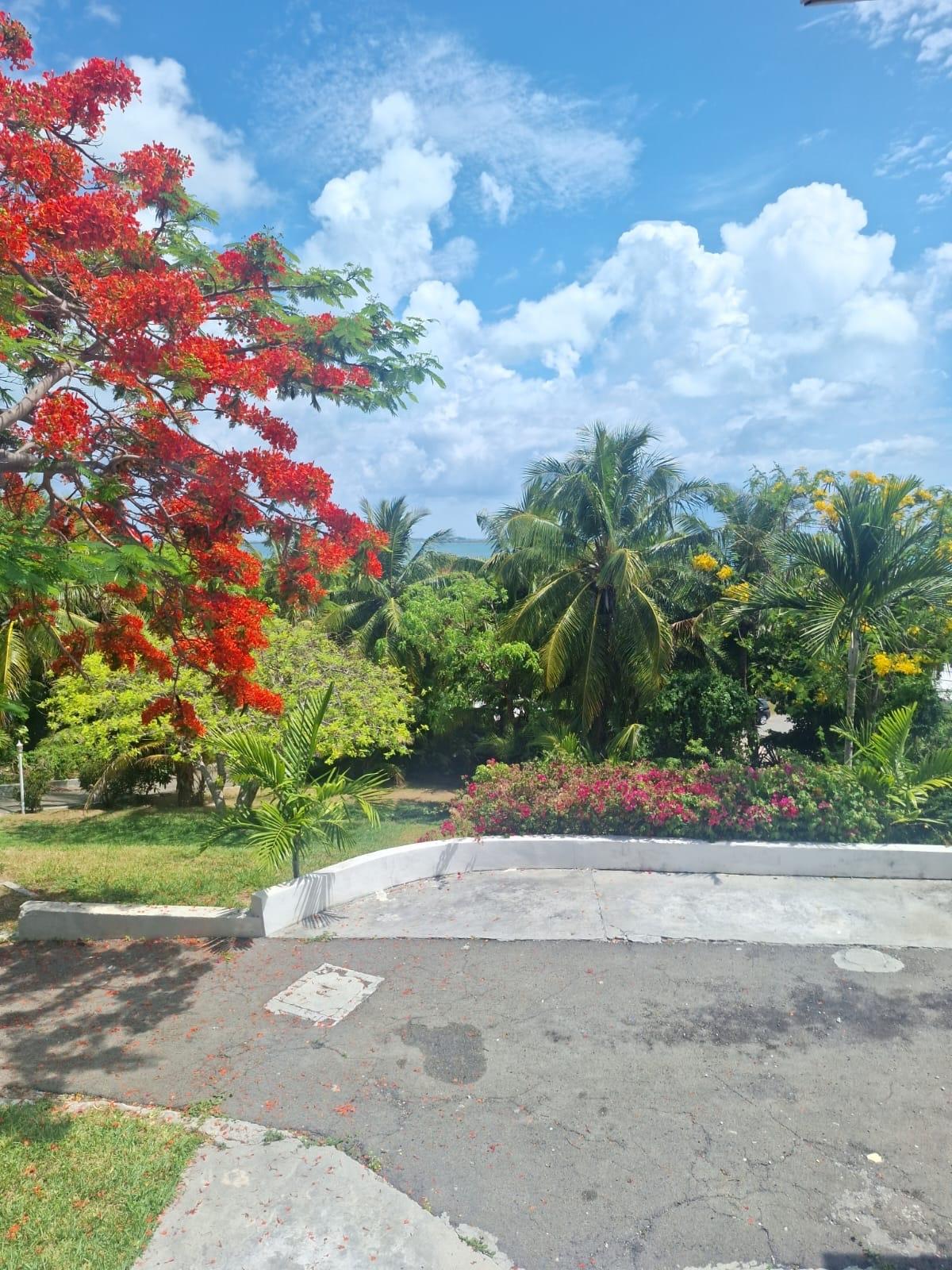 MLS# 65144  Eastern Road New Providence/Paradise Island