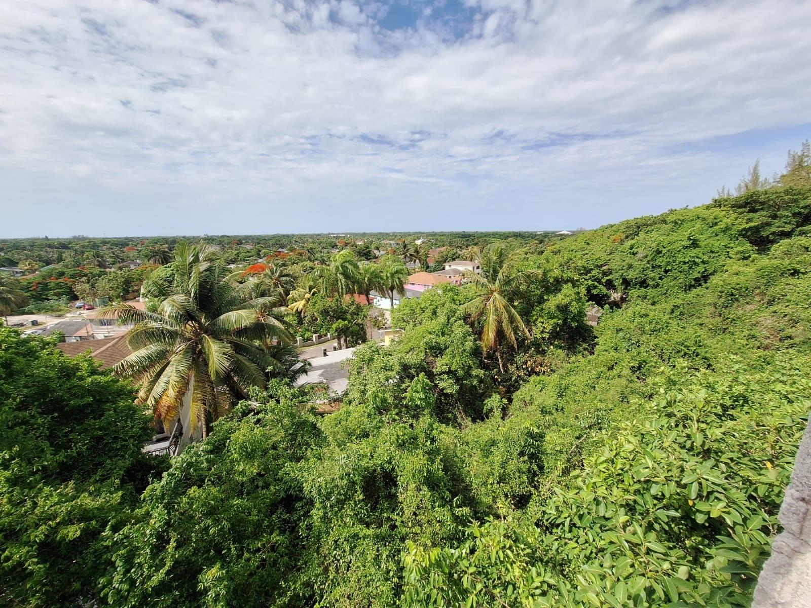 MLS# 65317 Other New Providence/Nassau New Providence/Paradise Island