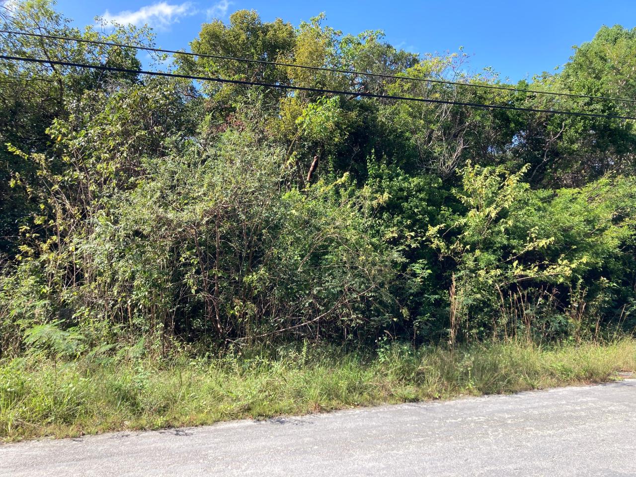 MLS# 65393  Congo Town Andros