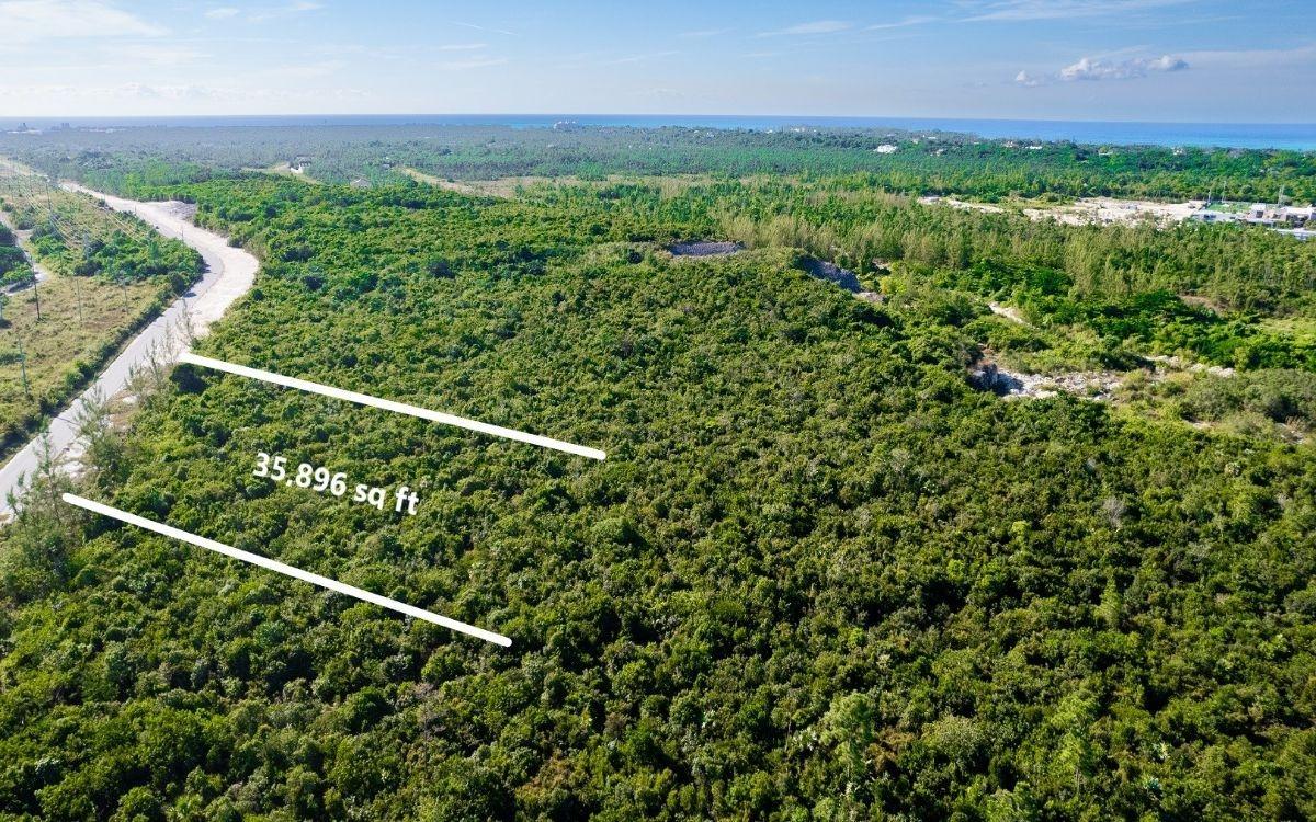 MLS# 65420  South Ocean New Providence/Paradise Island