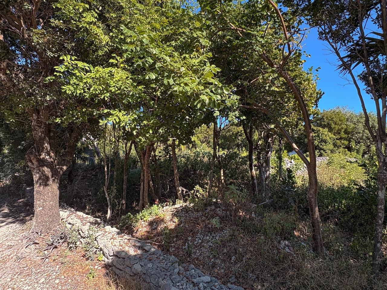 MLS# 65457 B, C and D, ManOWar Man-O-War Cay Abaco