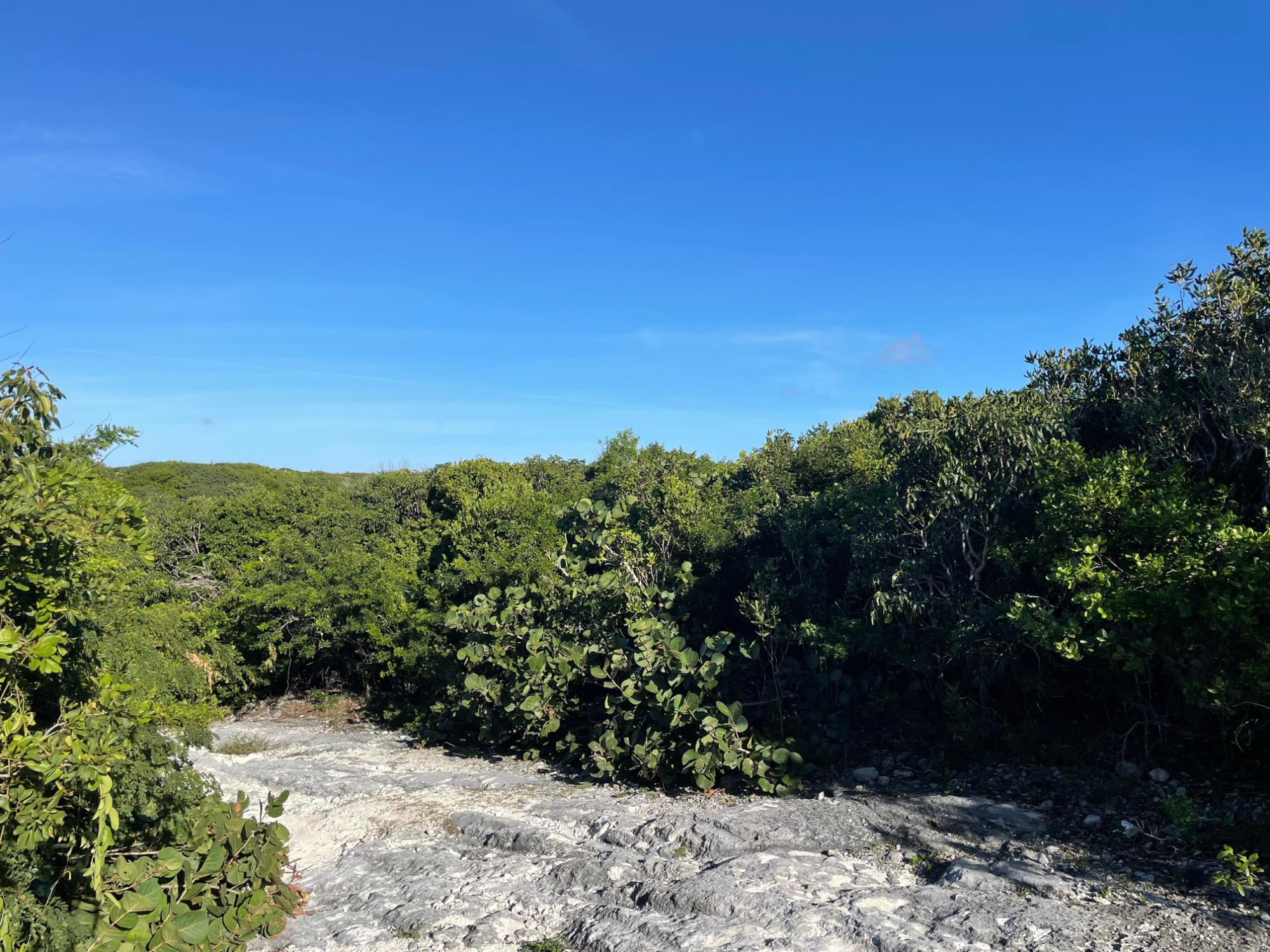 MLS# 65534  Gregory Town Eleuthera