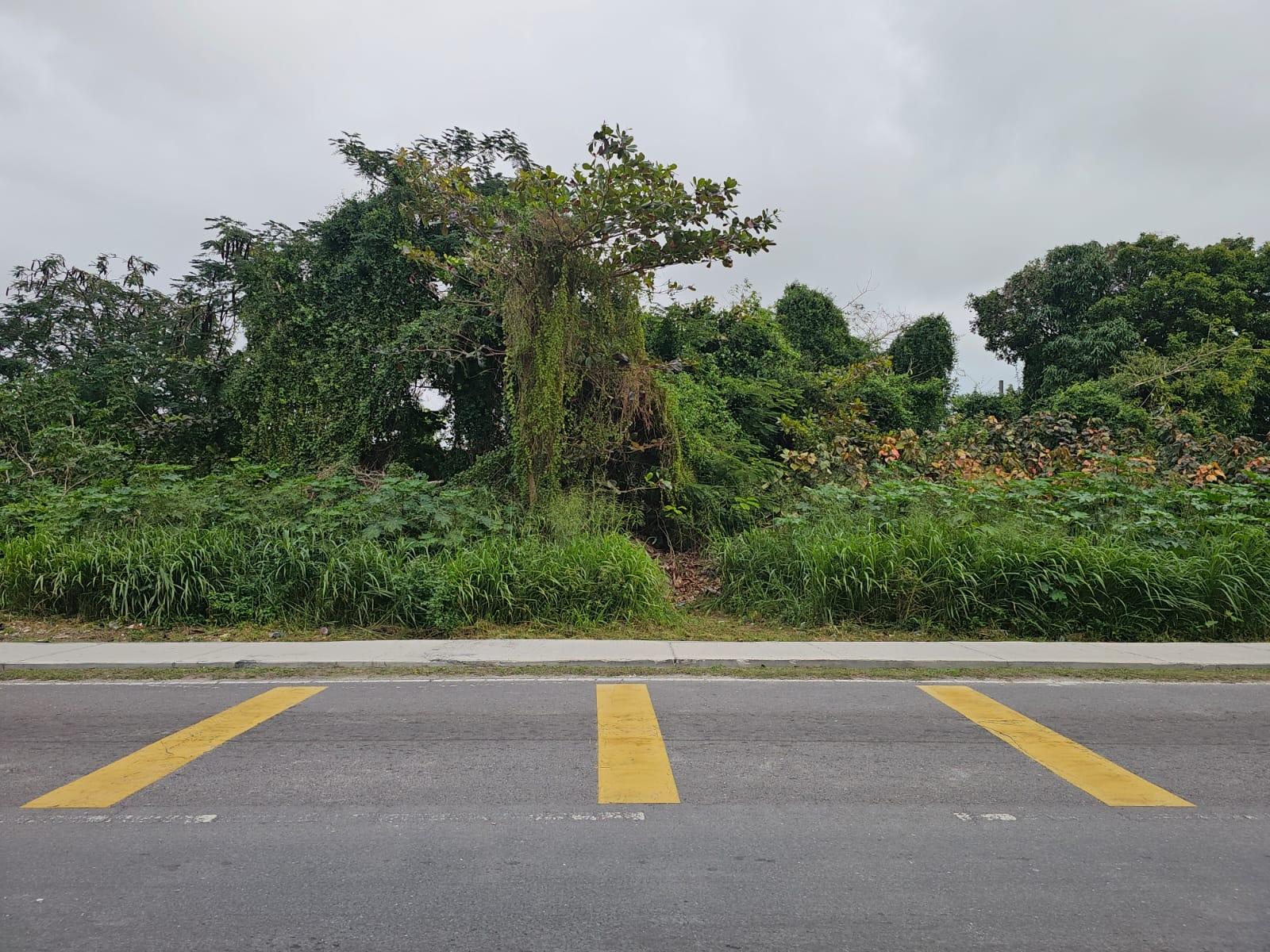 MLS# 65575 Nassau Vacant Lot Bacardi Road New Providence/Paradise Island