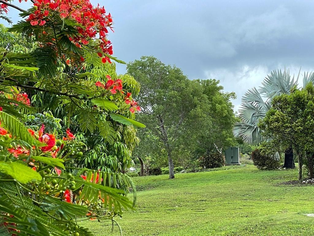 MLS# 65586  Western Road New Providence/Paradise Island