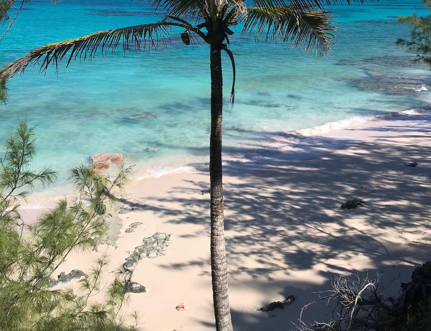 MLS# 65600 Eleuthera Acreage Palmetto Point Eleuthera