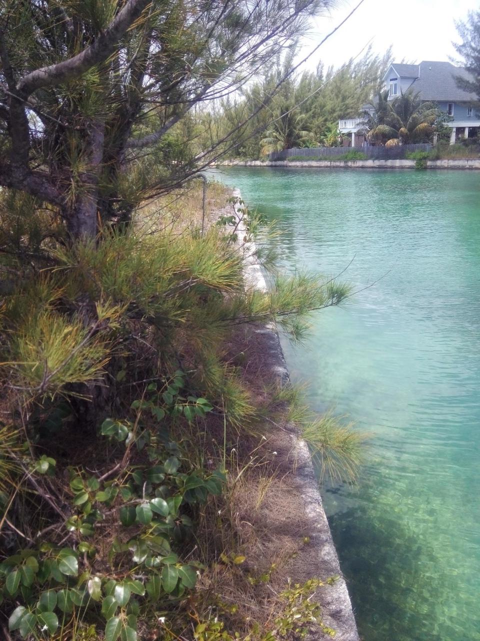 MLS# 65656 Derby II Derby Grand Bahama/Freeport