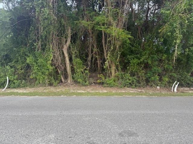 MLS# 65712  Western Road New Providence/Paradise Island