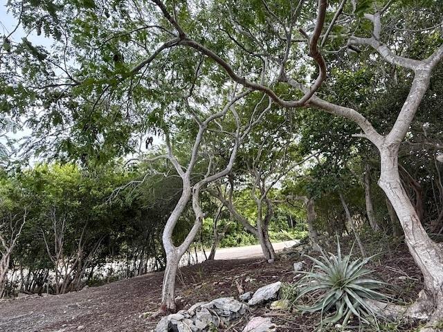 MLS# 65732  Seymour's Long Island