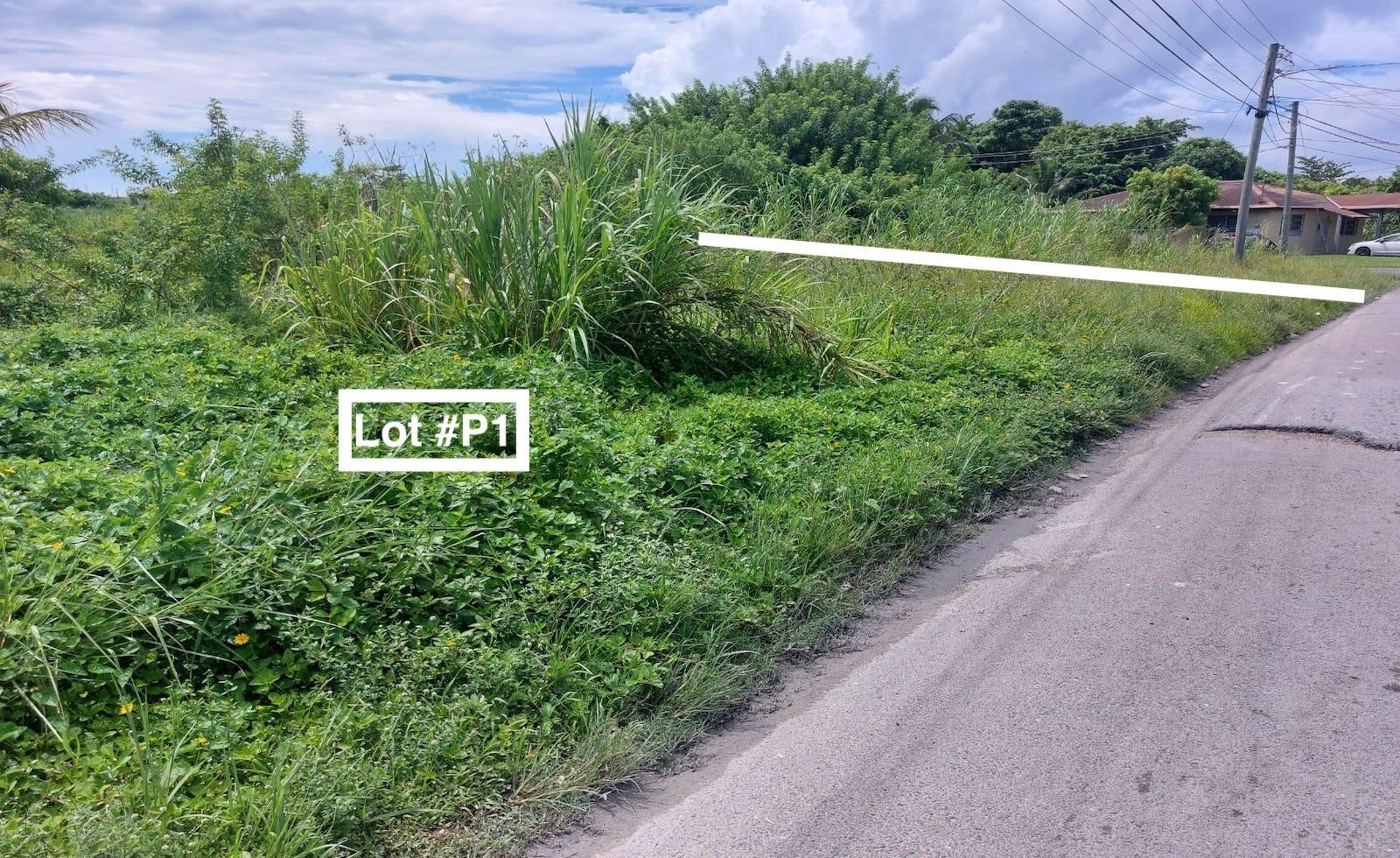 MLS# 65773  Carmichael Road New Providence/Paradise Island