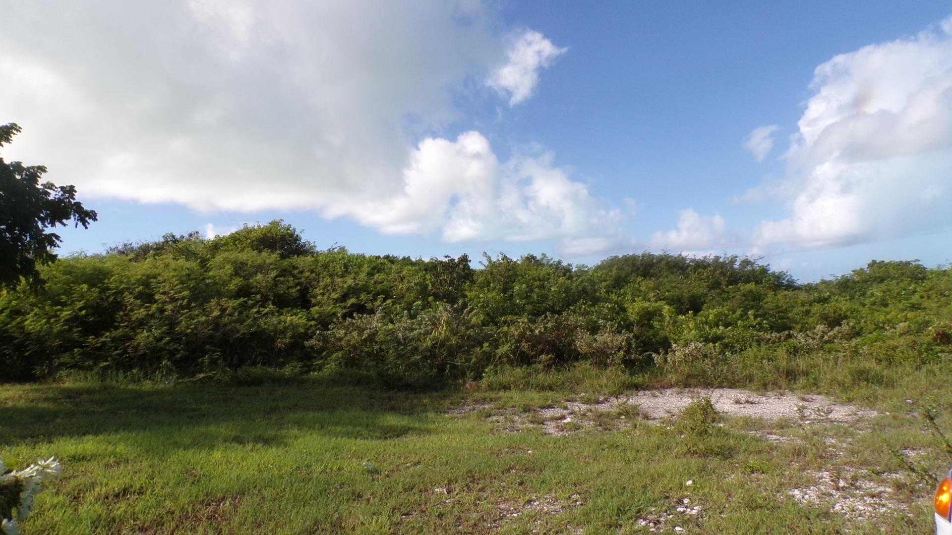 MLS# 65779 Acreage Buckleys Long Island