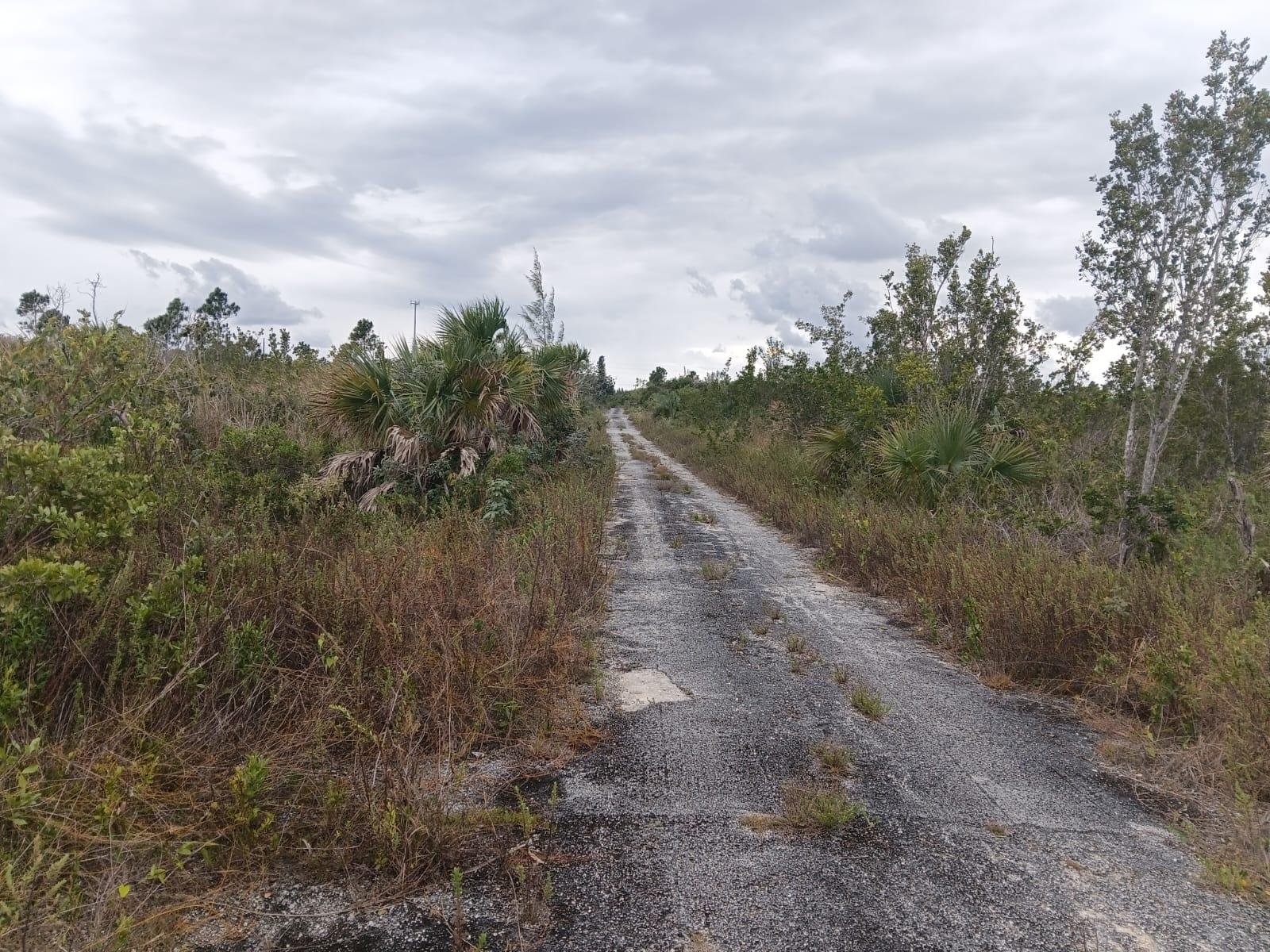 MLS# 65833  West End Grand Bahama/Freeport