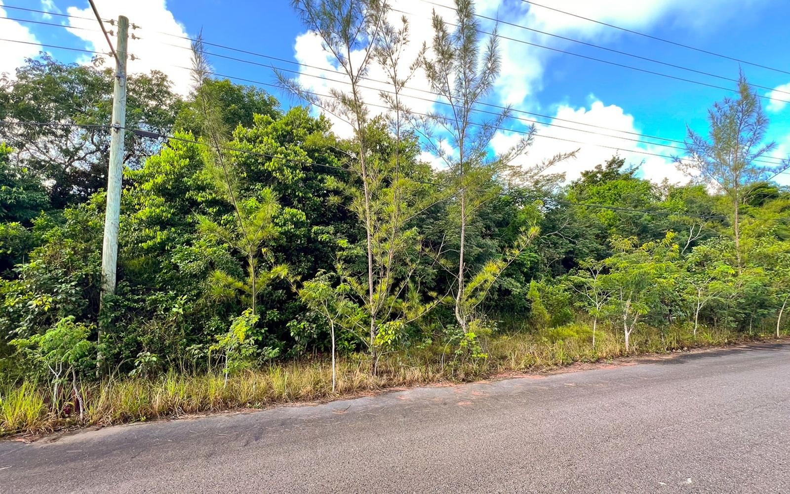 MLS# 65850  Love Beach New Providence/Paradise Island