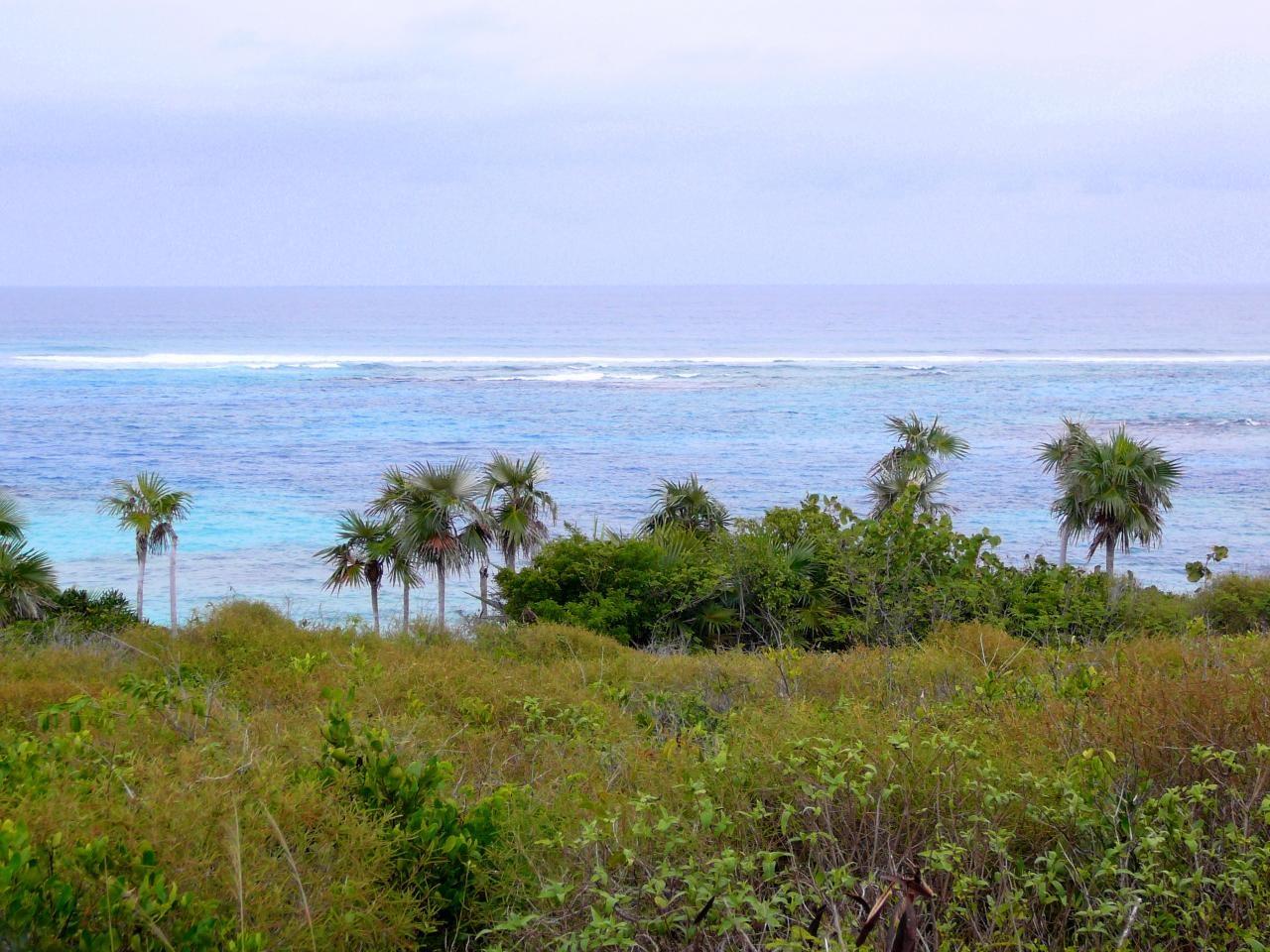 MLS# 65865 1.5 Acre Turtle Cove Deans Long Island