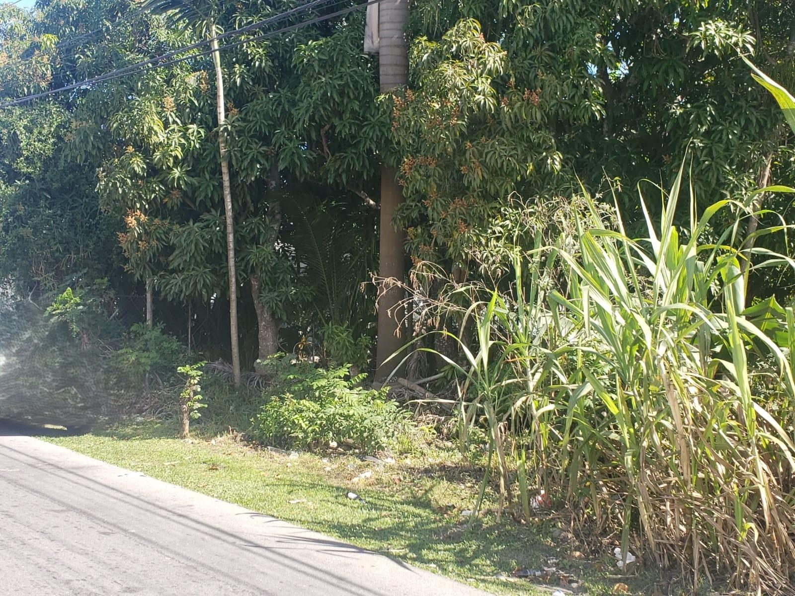 MLS# 66031  Fire Trail Road New Providence/Paradise Island