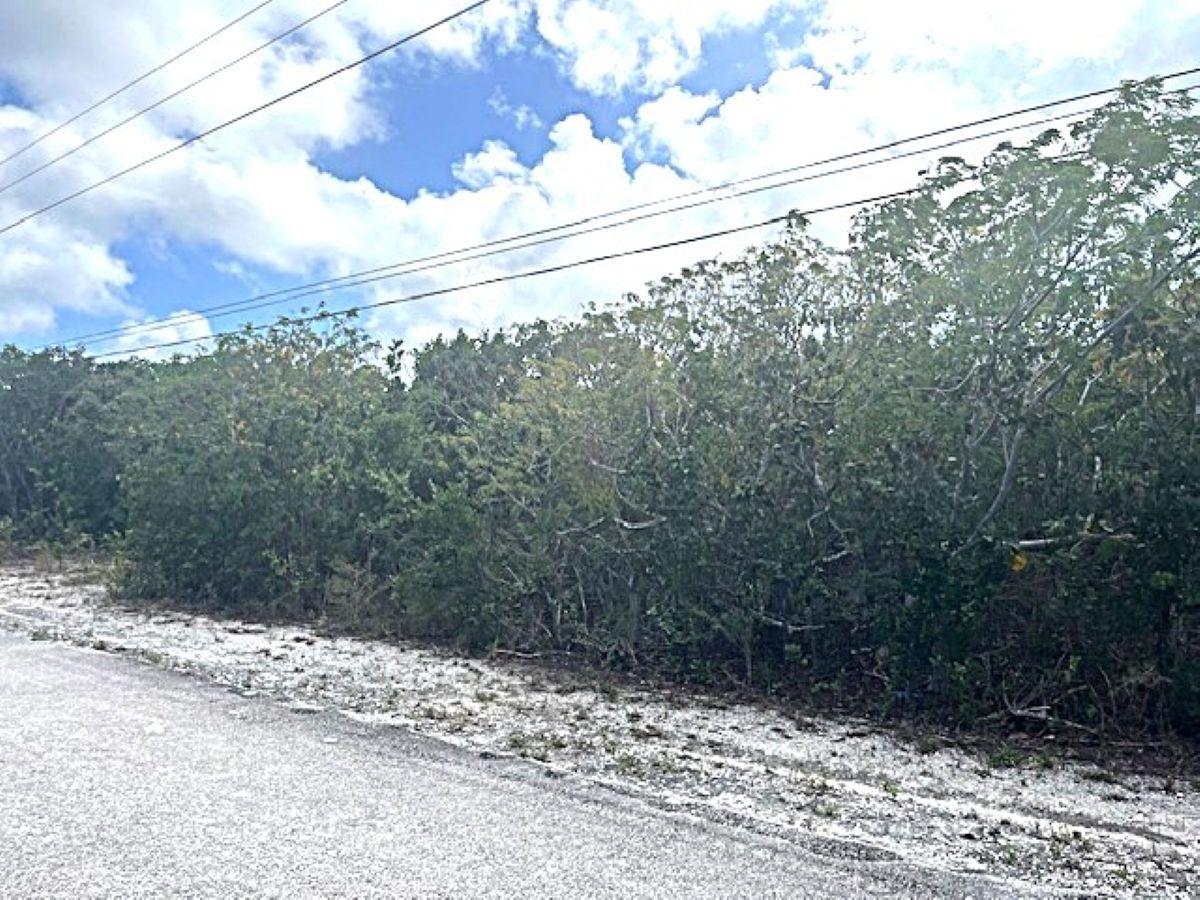 MLS# 66172 Miley Long Island