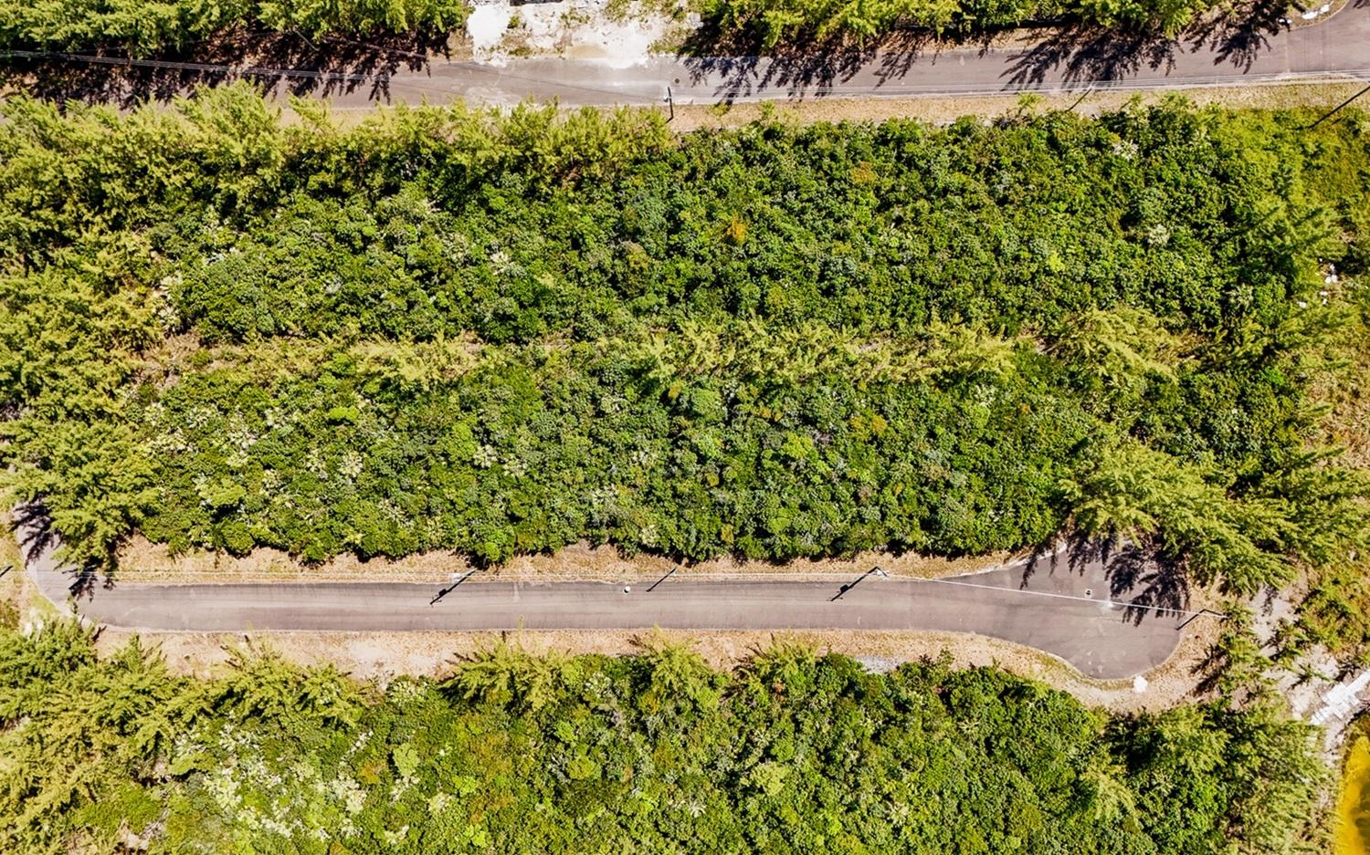 MLS# 66323 Coral Harbour New Providence/Paradise Island