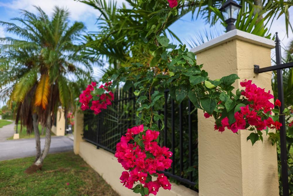 MLS# 66429 Bell Channel Grand Bahama/Freeport