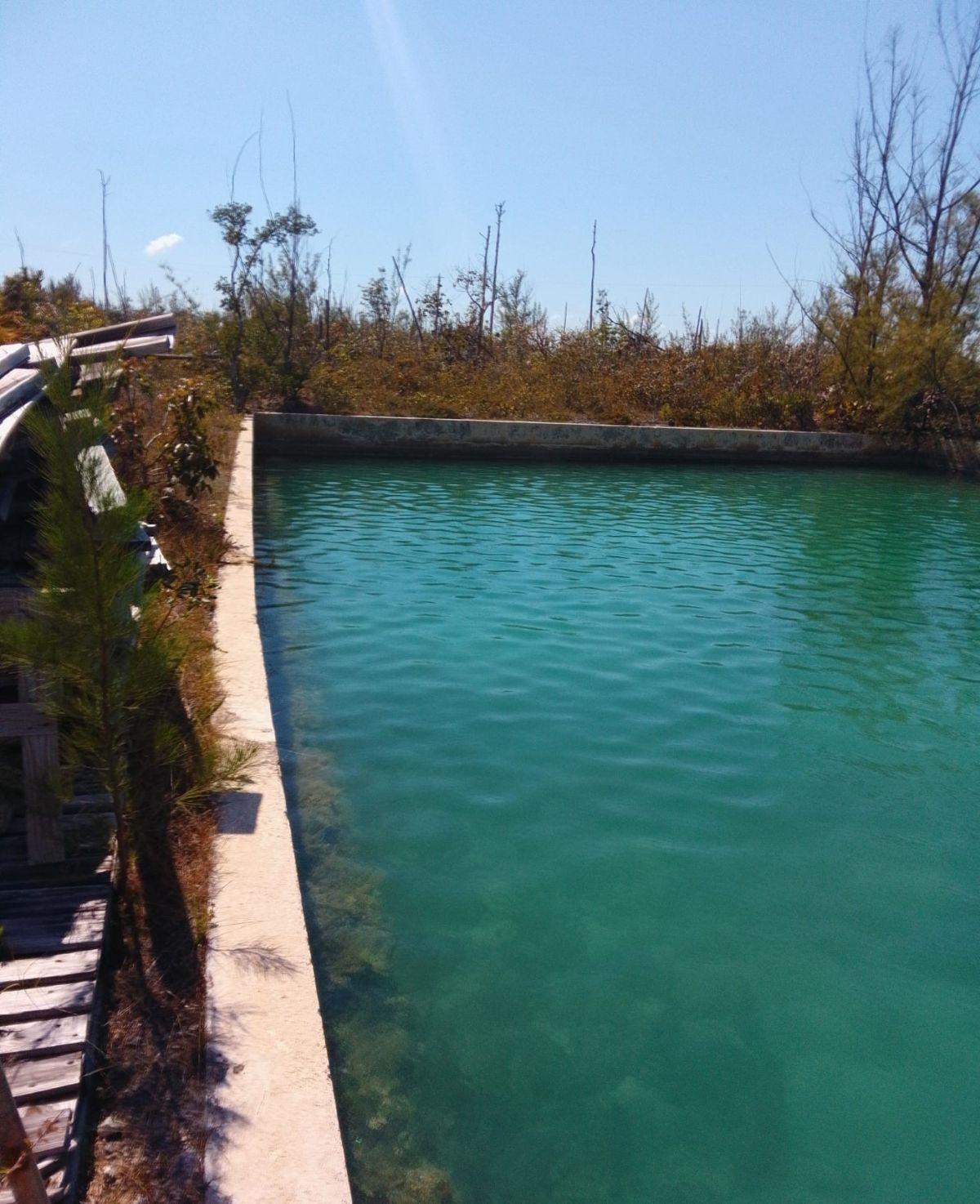 MLS# 66619 Caal Front Lot Bristol Bay Grand Bahama/Freeport